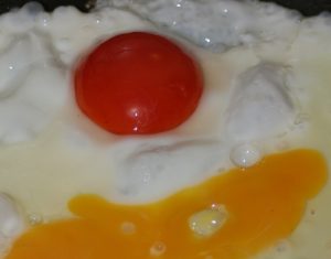 Dark Egg Yolk