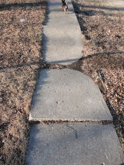 Uneven sidewalk